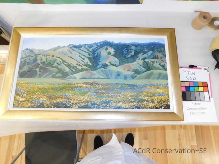          Hills and Meadow picture number 1
