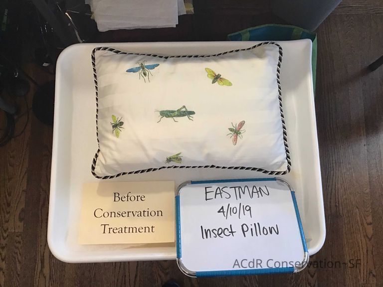          Insect Pillow picture number 1
