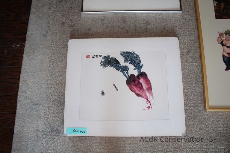 Collection Assessment - Image 43