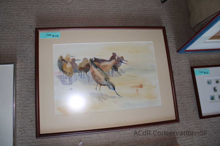 Collection Assessment - Image 46