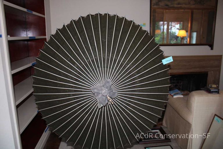 Collection Assessment - Image 54