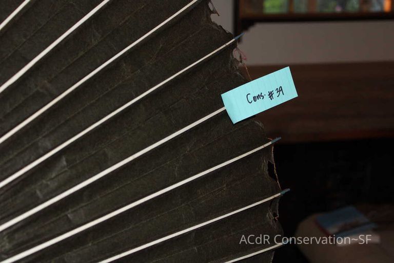 Collection Assessment - Image 55