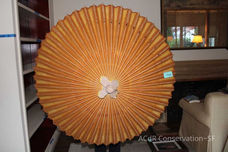 Collection Assessment - Image 56