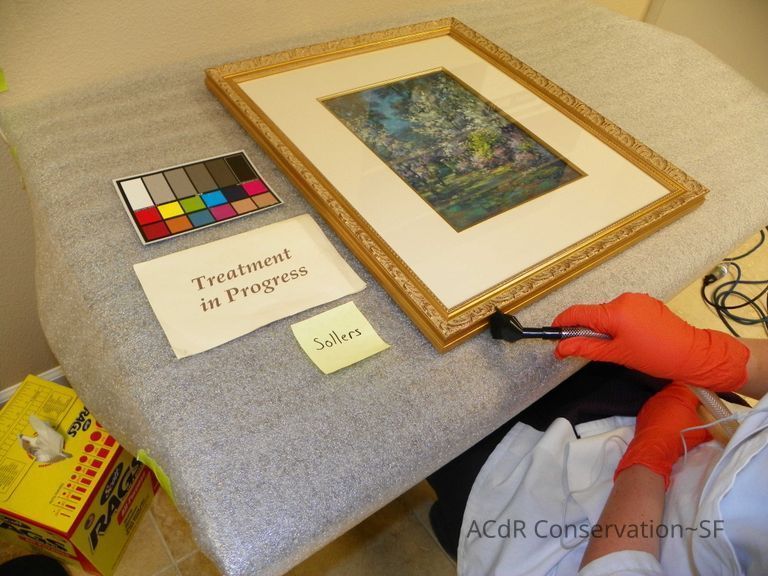          Purple flowered forest picture number 1
