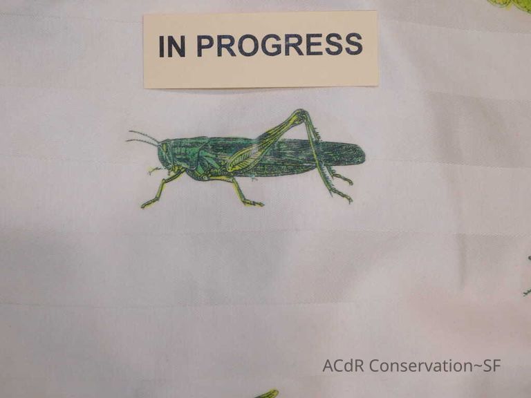 Insect Pillow - Image 26