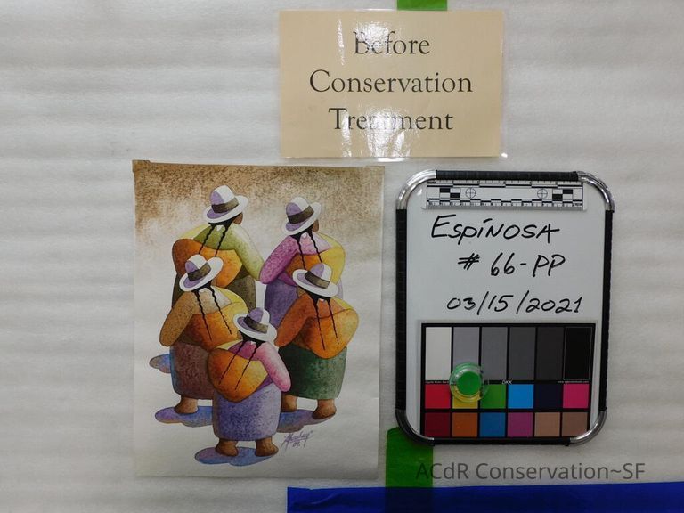          Peacock - NOT Espinosa
