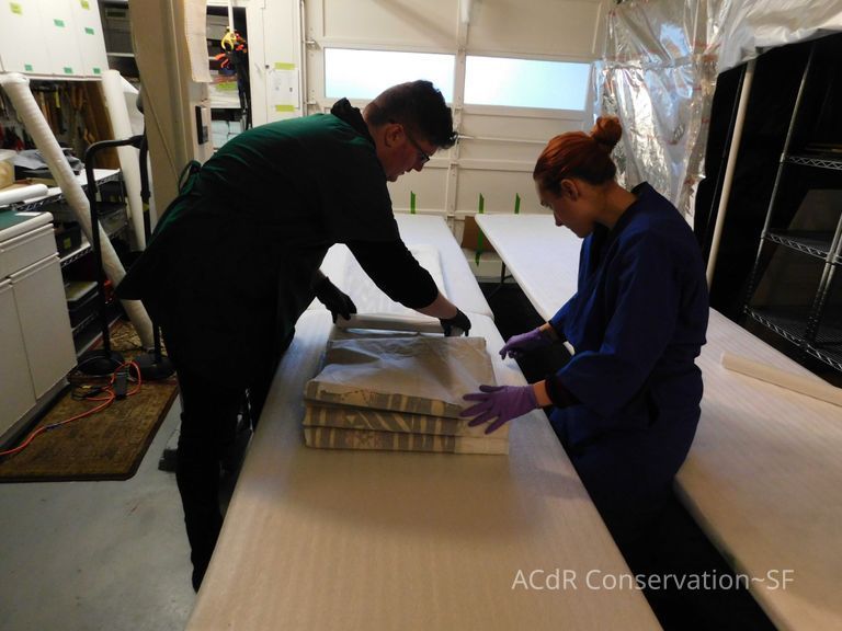 Textile and Tribal Arts Show Rehousing Project - Image 202