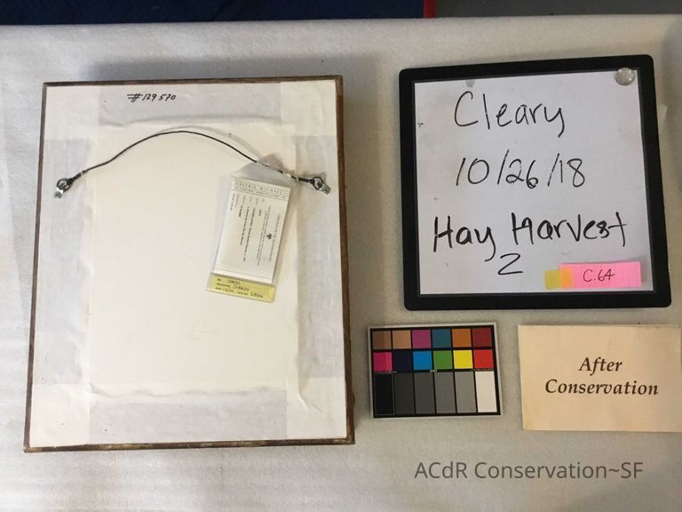 Hay harvest 2 - Image 4