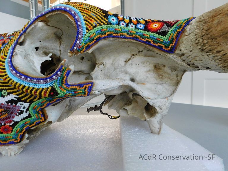 Mexican Beaded Skull - Image 14