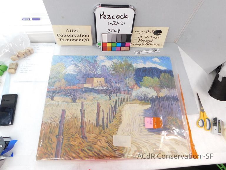          Country Pathway Near Villa picture number 1
