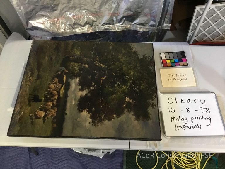           Sheep herder picture number 1
