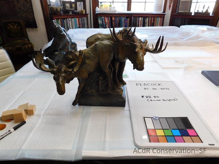          Bronze Mooses picture number 1
