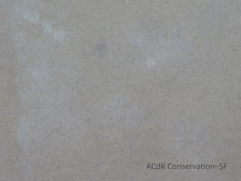 Large Silhouette - Image 13