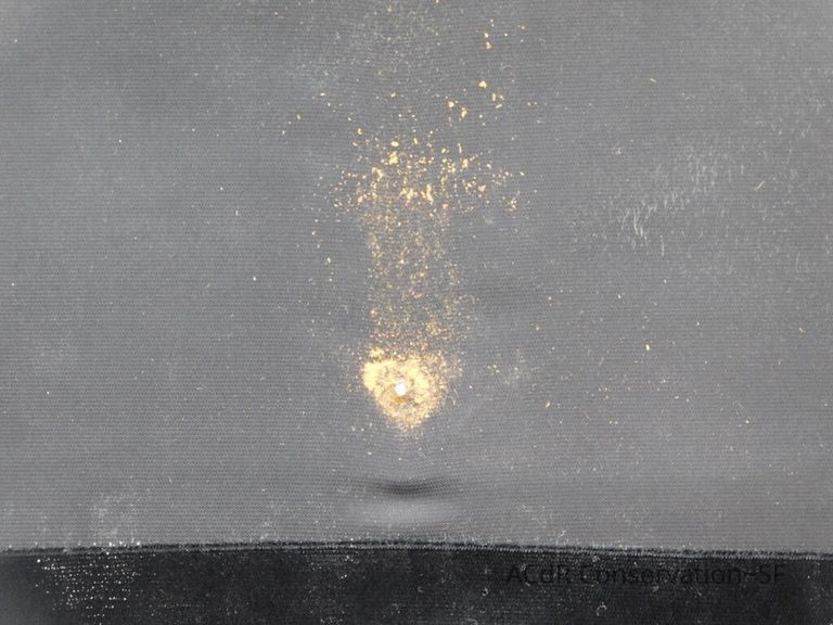 Large Silhouette - Image 18