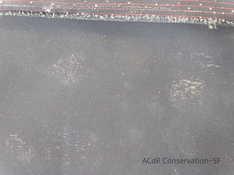 Large Silhouette - Image 20