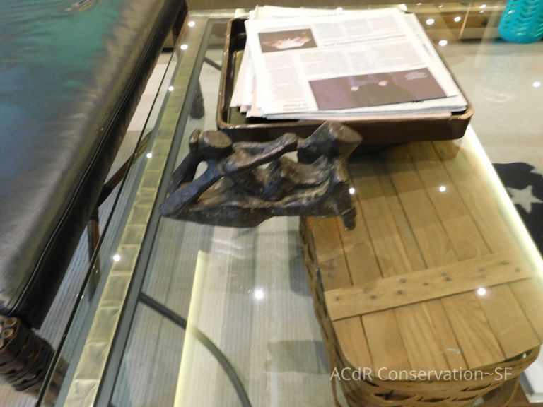          Child pulling hair picture number 1
