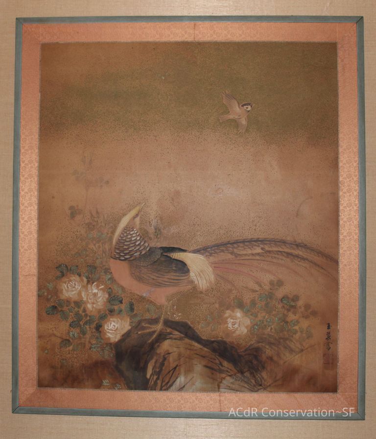          #5 - Pheasant picture number 1
