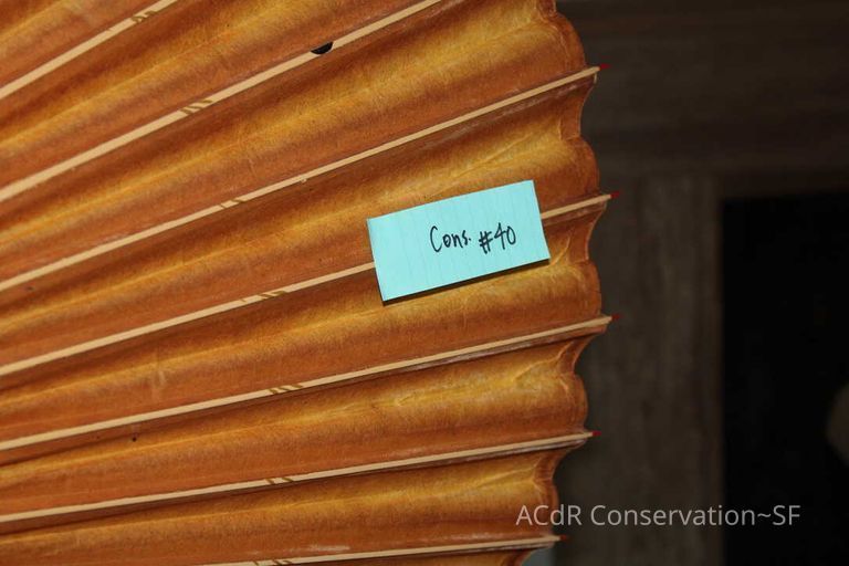 Collection Assessment - Image 57