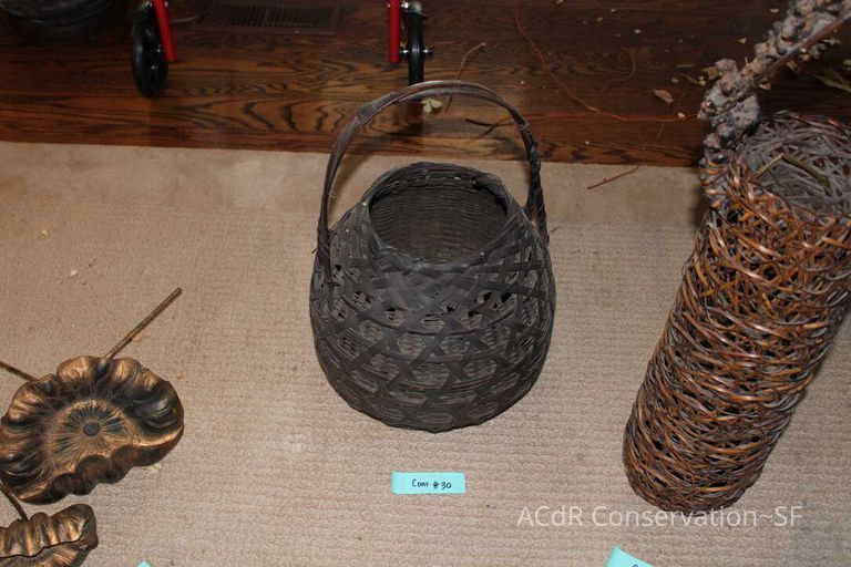 Collection Assessment - Image 62