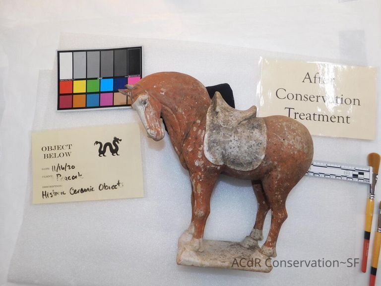          Horse picture number 1
