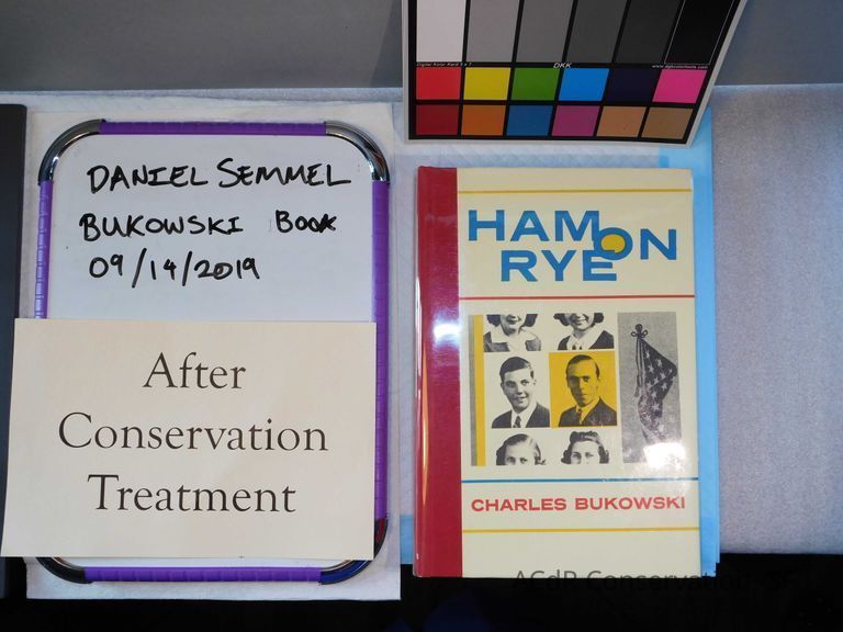 Bukowski Book with Painted Leaflet - Image 22
