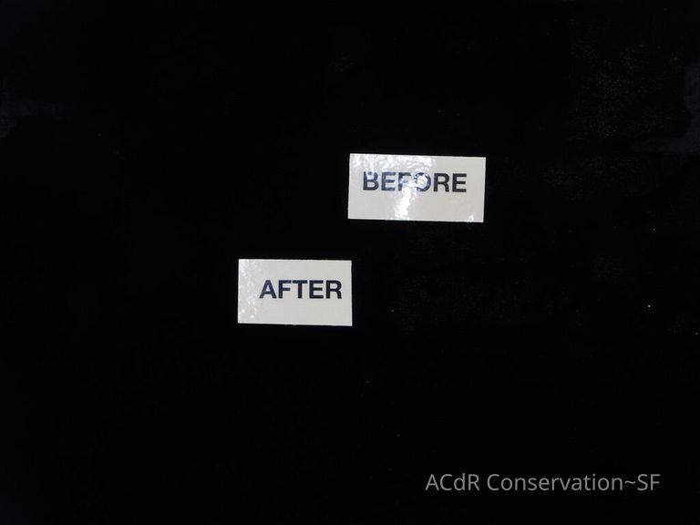 Large Silhouette - Image 27