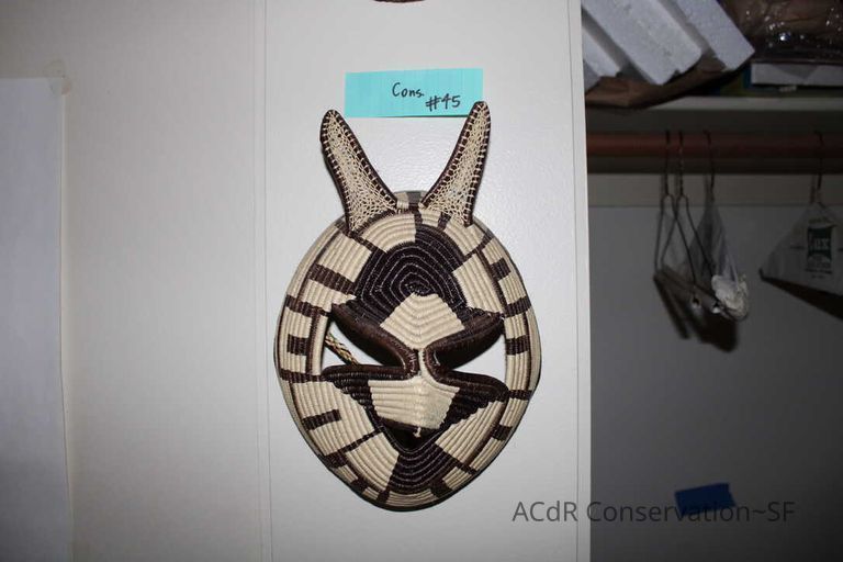 Collection Assessment - Image 73