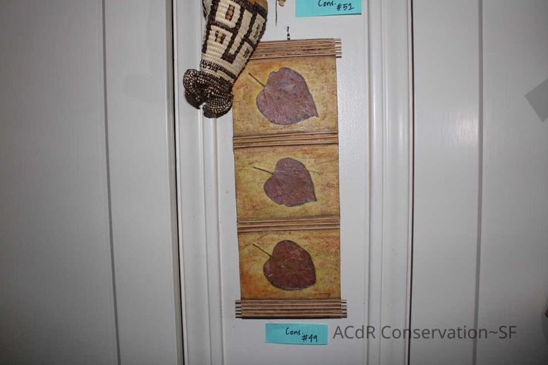 Collection Assessment - Image 76