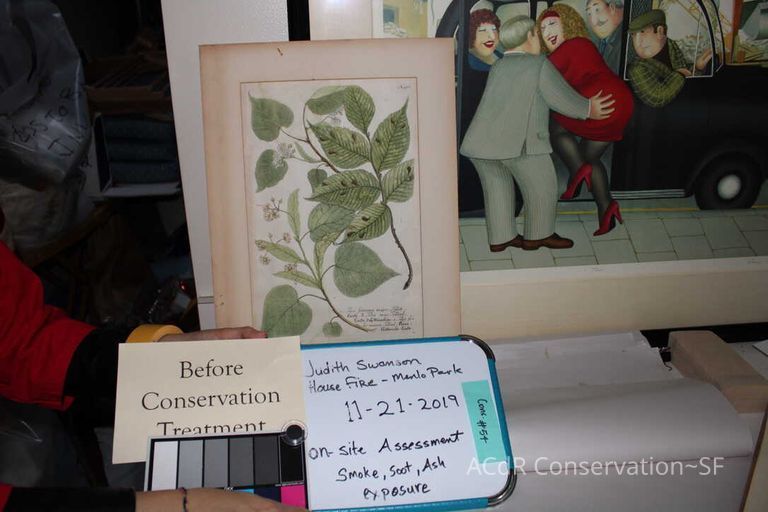 Collection Assessment - Image 81