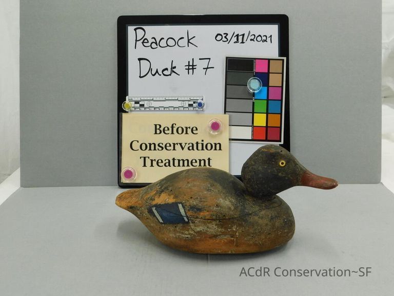          Wooden Duck picture number 1
