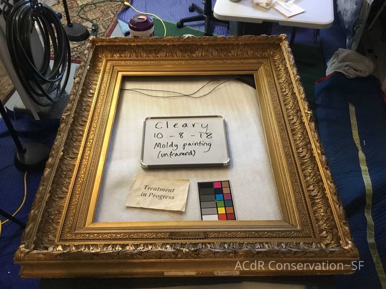  Sheep herder - Image 5