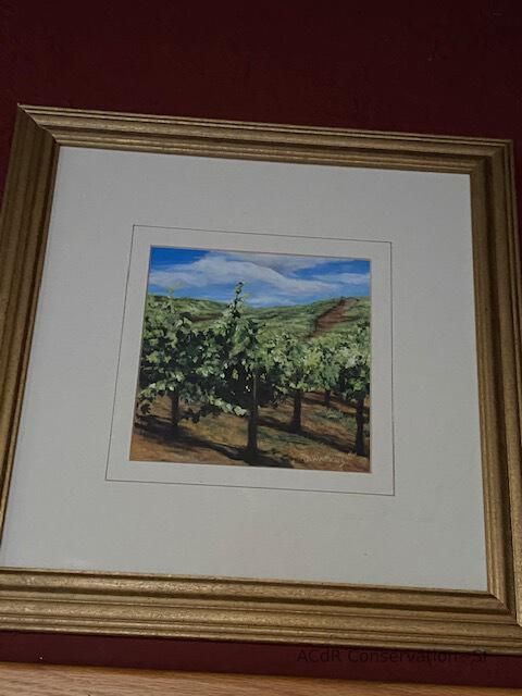          Vineyard under blue sky picture number 1
