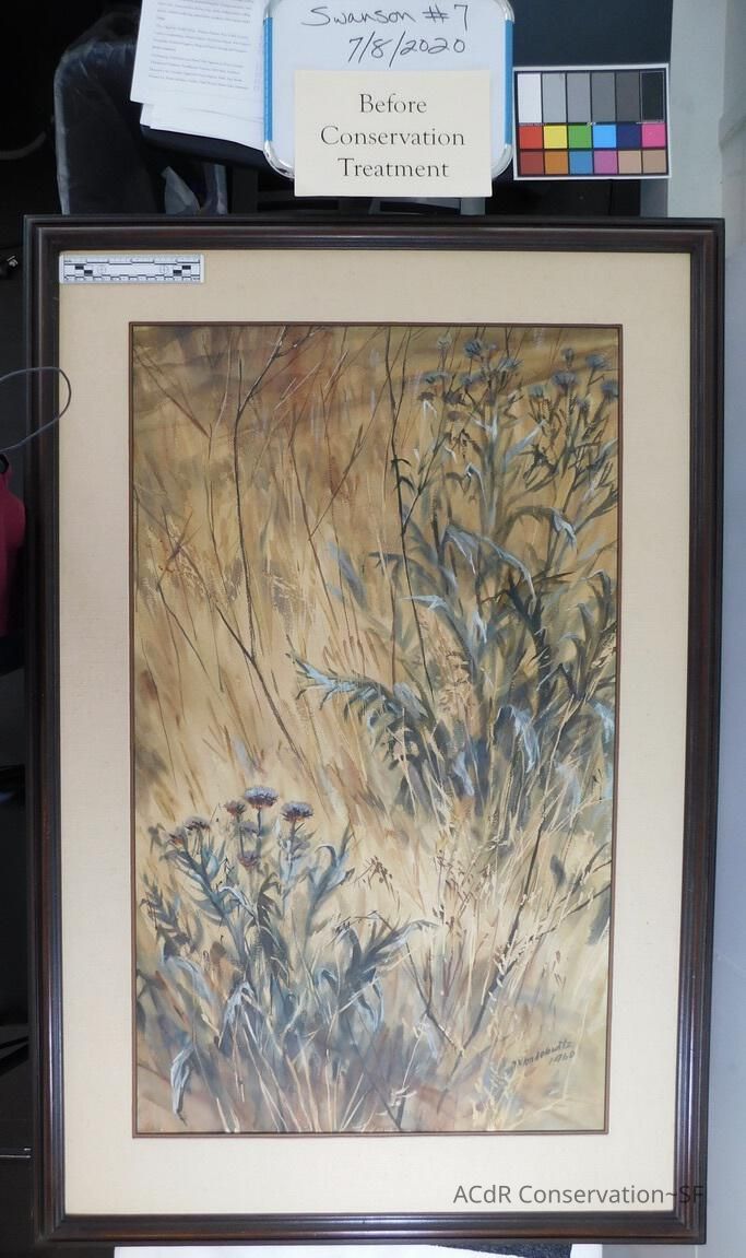 #7 - Grass and Thistles - Image 2