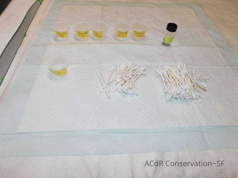 “The Optimist” - Image 28