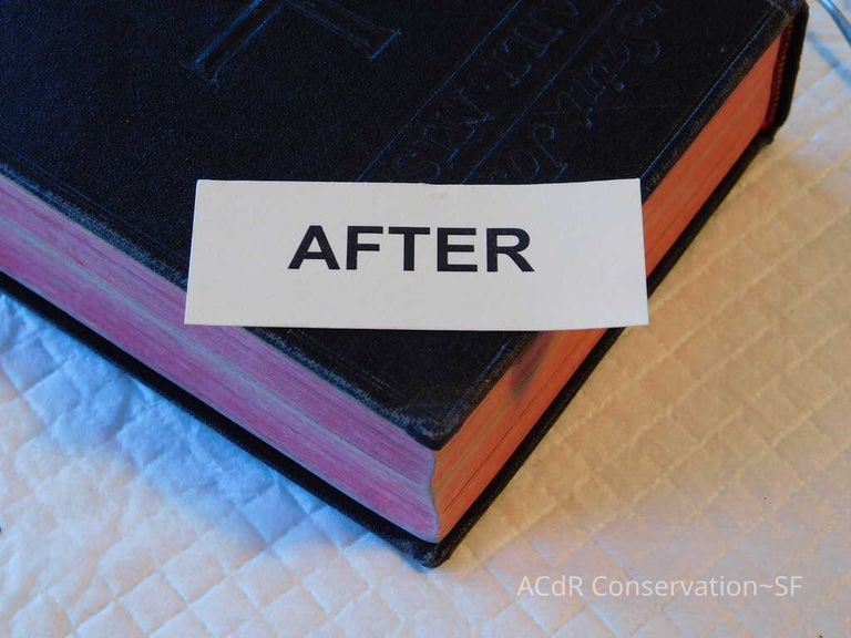 Daily Missal - Image 108