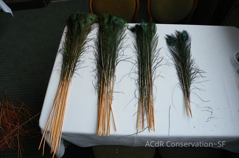 Golden Room - Image 433