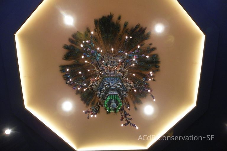 Golden Room - Image 446