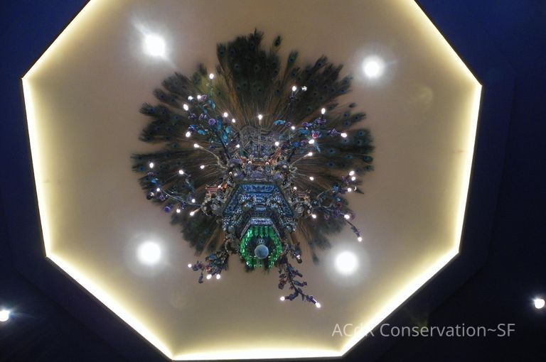 Golden Room - Image 447