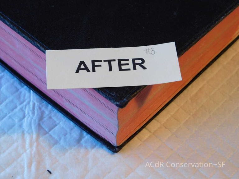 Daily Missal - Image 113