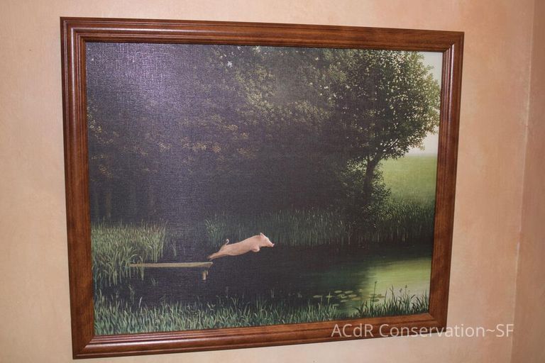          Piglet Diving picture number 1
