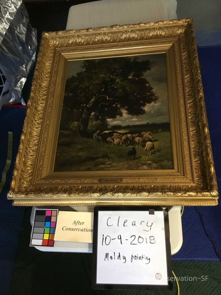  Sheep herder - Image 14