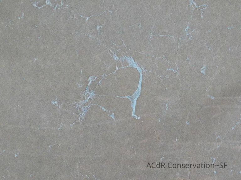 #7 - Grass and Thistles - Image 5