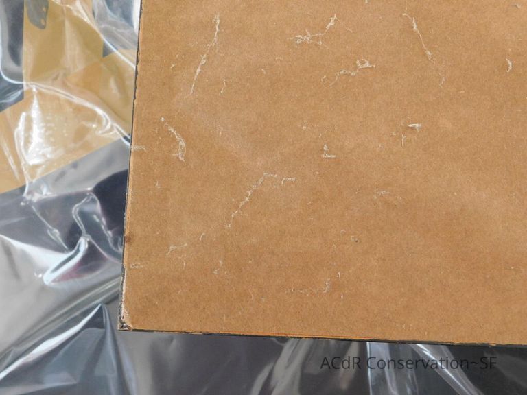 #7 - Grass and Thistles - Image 7