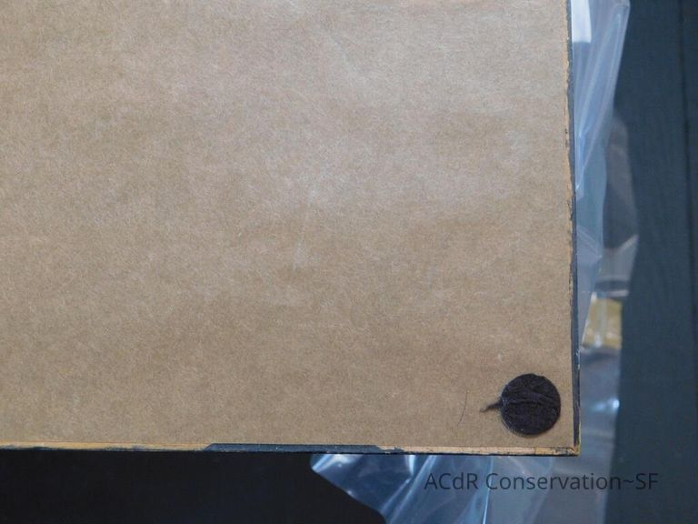 #7 - Grass and Thistles - Image 8