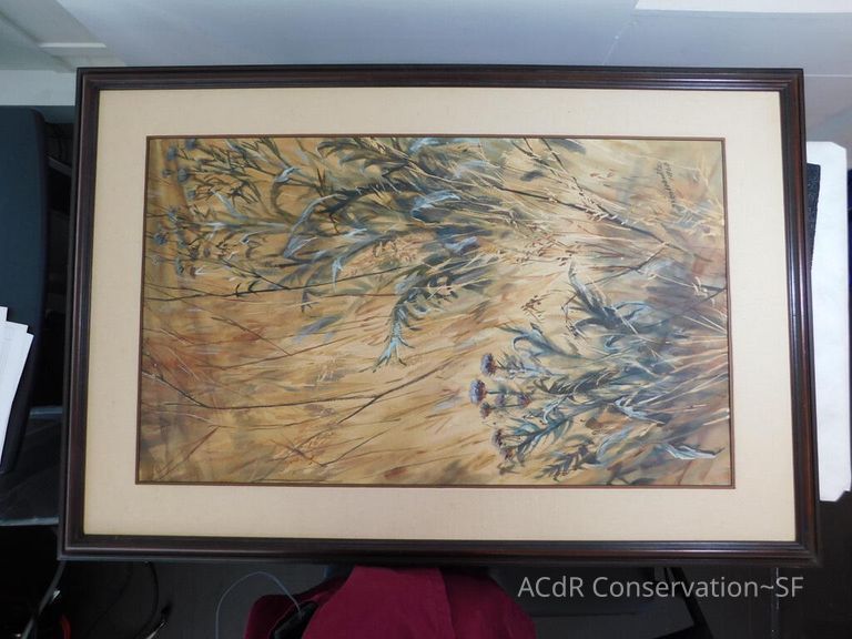 #7 - Grass and Thistles - Image 9