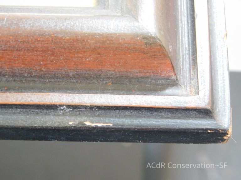 #7 - Grass and Thistles - Image 12