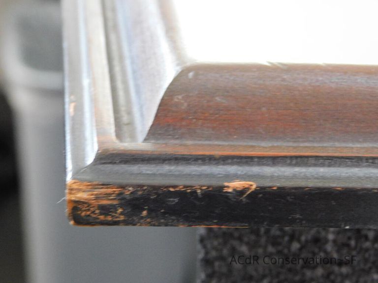 #7 - Grass and Thistles - Image 13