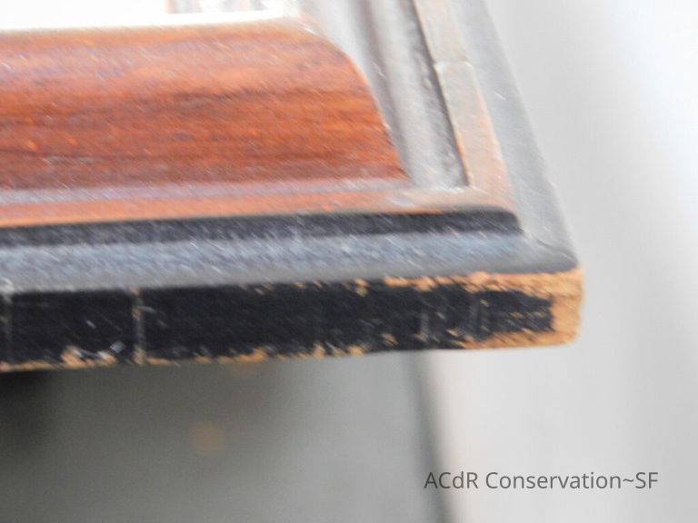 #7 - Grass and Thistles - Image 14