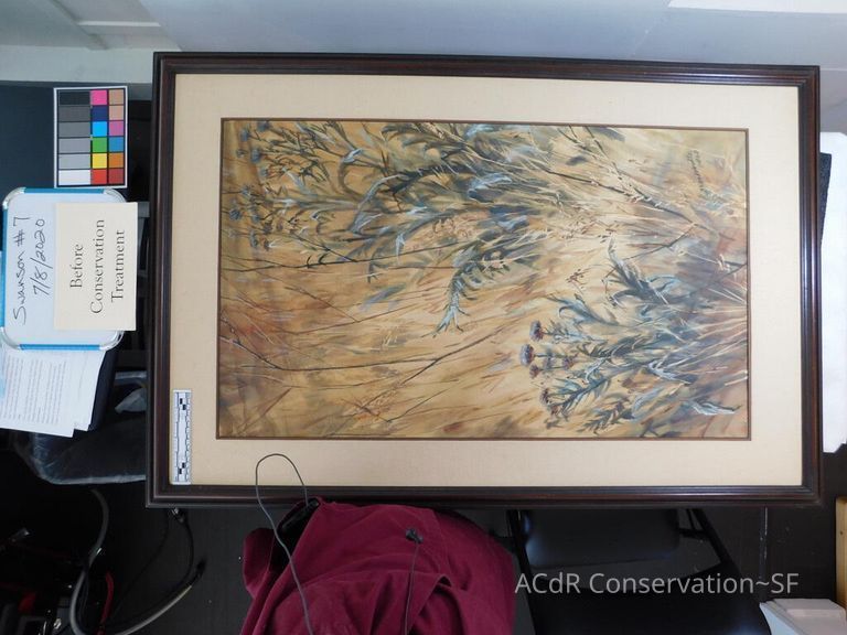 #7 - Grass and Thistles - Image 15