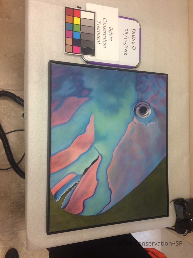          Parrot Fish picture number 1
